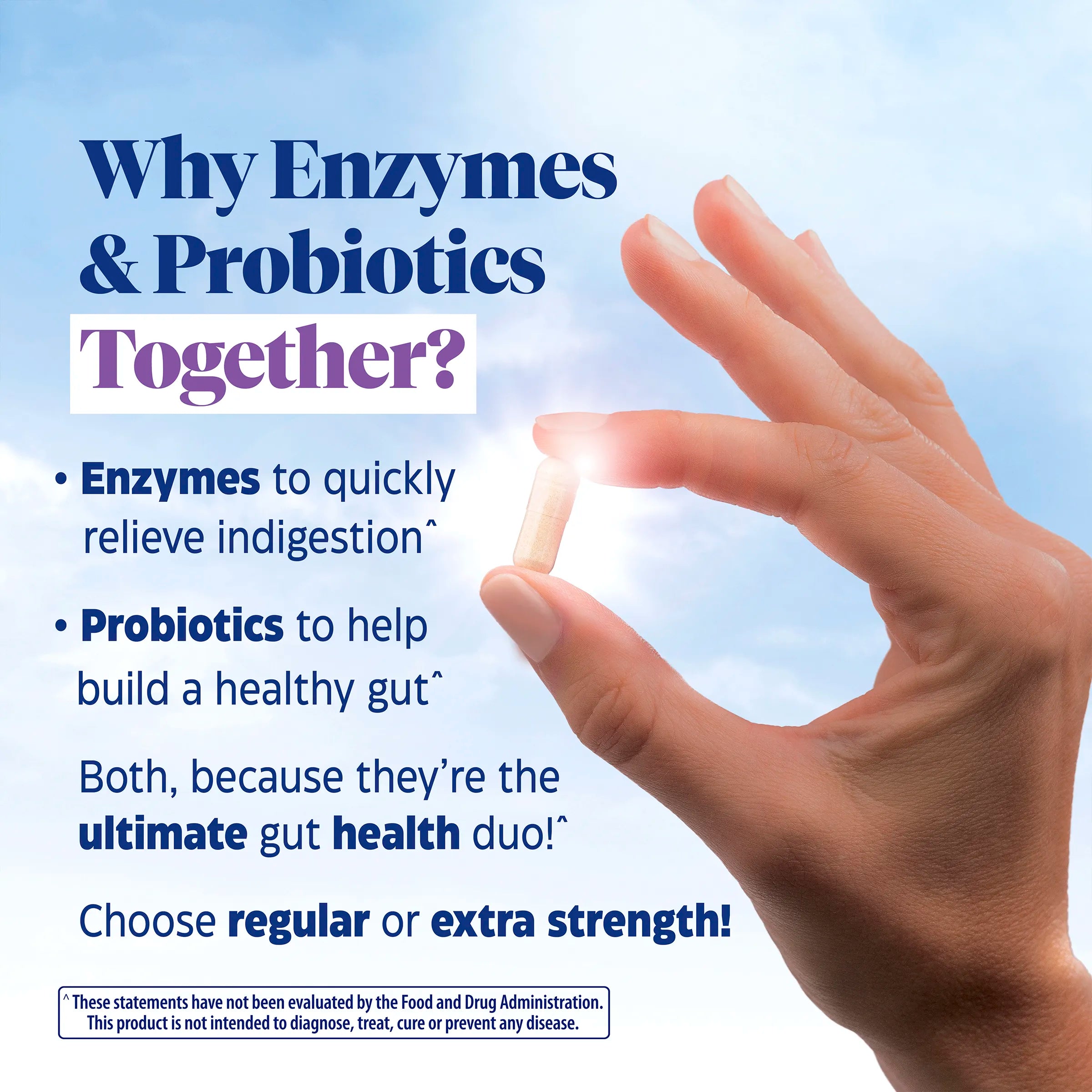 Digest Gold Everyday Digestion Regular Strength