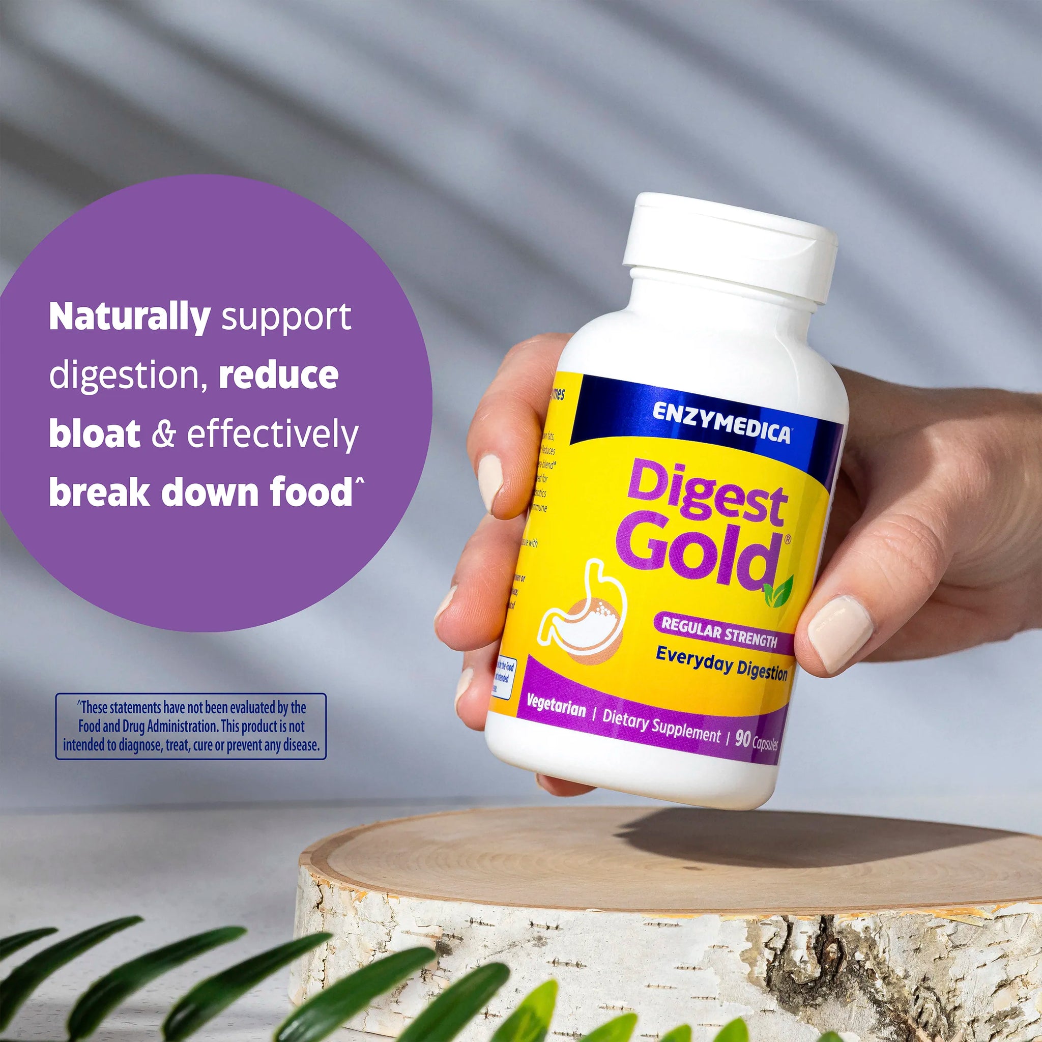 Digest Gold Everyday Digestion Regular Strength